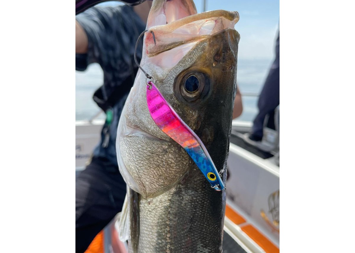 Wave 18g Long Casting Spoon | For Trout & Seaba