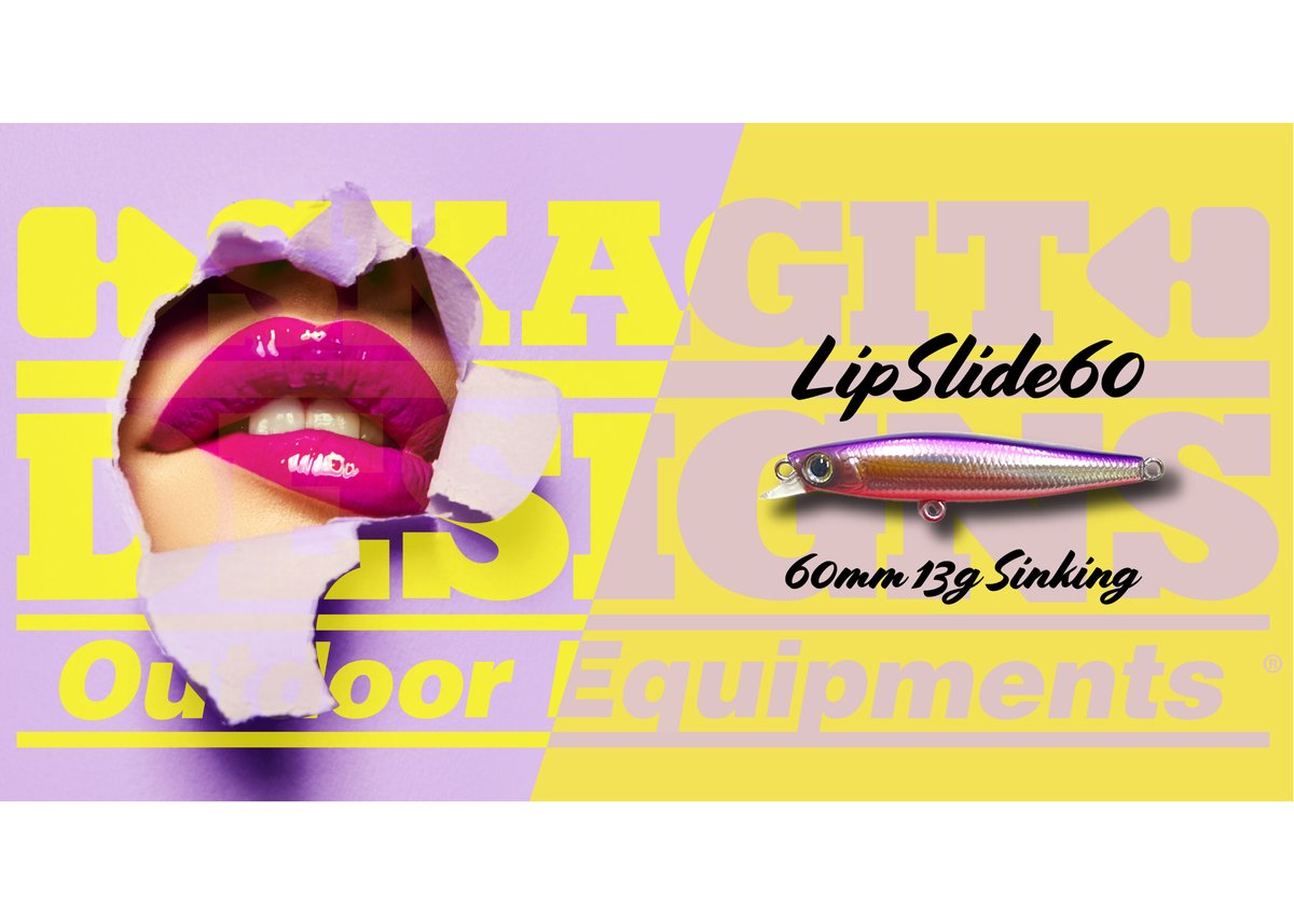 Lip Slide 60mm 13g Sinking | SKAGIT WEBSHOP