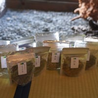 クズ 新芽茶