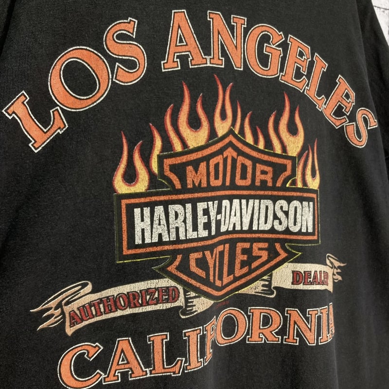 GQ1881◇HARLEY DAVIDSON : 90's サンダーロゴ L/S GQ1881◇HARLEY DAVIDSON : 90´s サンダーロゴ L/S