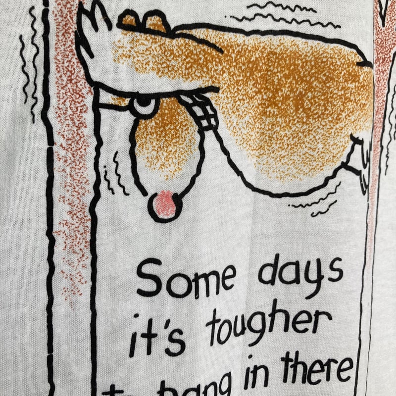 The Shoebox JPページ Shoe Boxes - 14 x 8 x 5