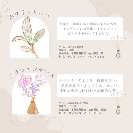 【ノンアルコールタイプ】浄化リードディフューザー50ml　トイレ玄関用