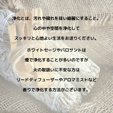 浄化スプレー 100ml