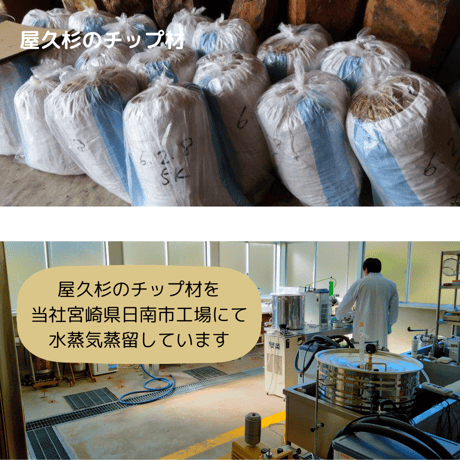 屋久杉　精油　エッセンシャルオイル　屋久島産