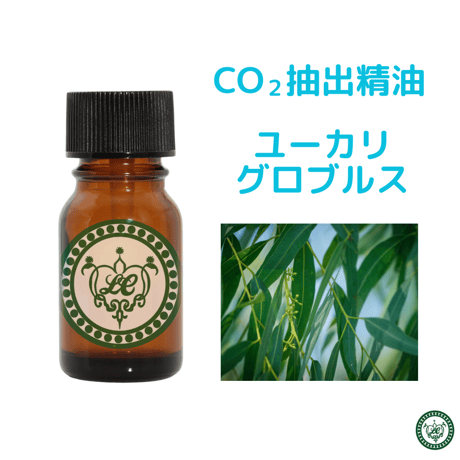 CO2抽出精油 ユーカリ　グロブルス
