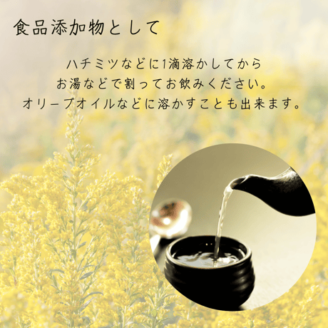 セイタカアワダチソウ  背高泡立ち草 精油　精油 エッセンシャルオイル