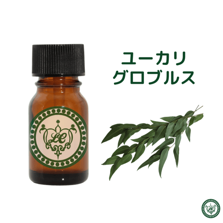ユーカリ グロブルス　精油 エッセンシャルオイル　ユーカリグロブルス