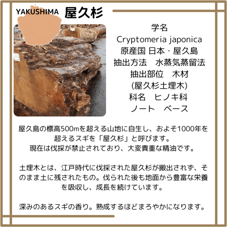 屋久杉　精油　エッセンシャルオイル　屋久島産