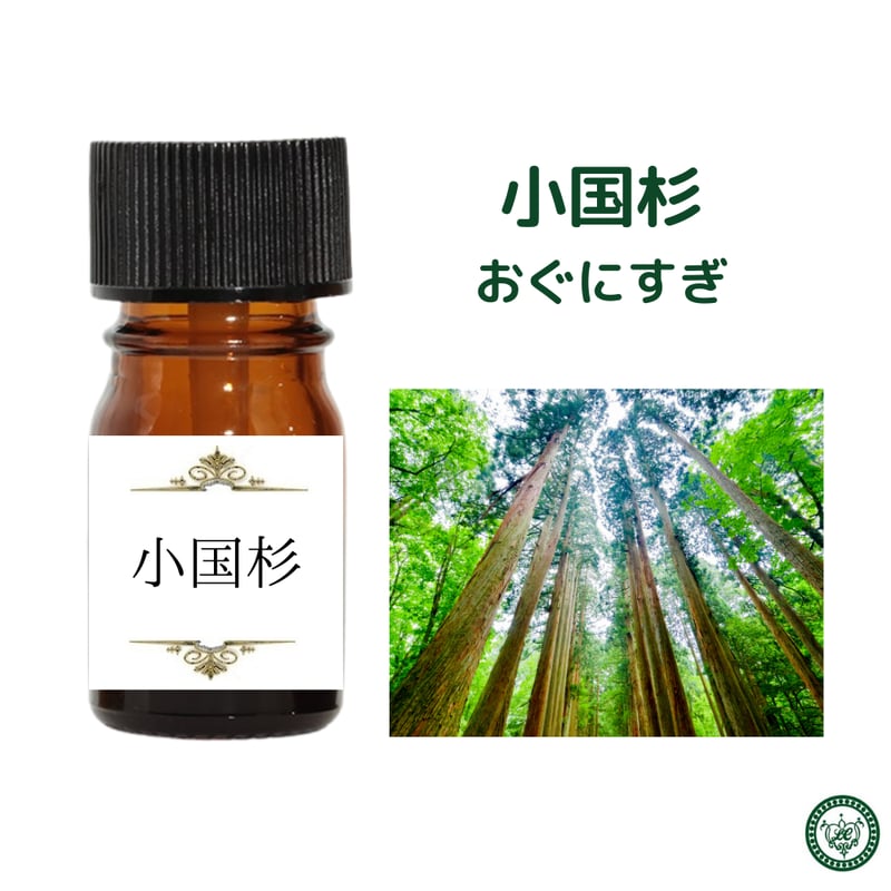小国杉 おぐに杉 精油 エッセンシャルオイル | LC aroma STORE