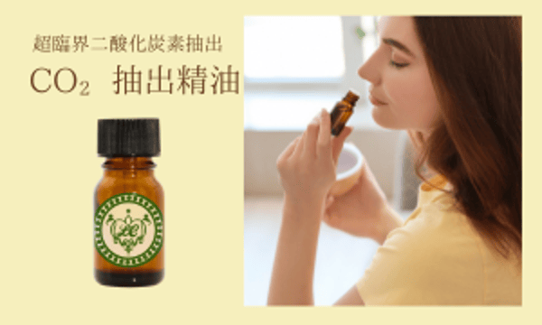 カイザーのアロマオイル　チャーム付き カラーGLASS アロマオイル ウォーマー | aroma nagi