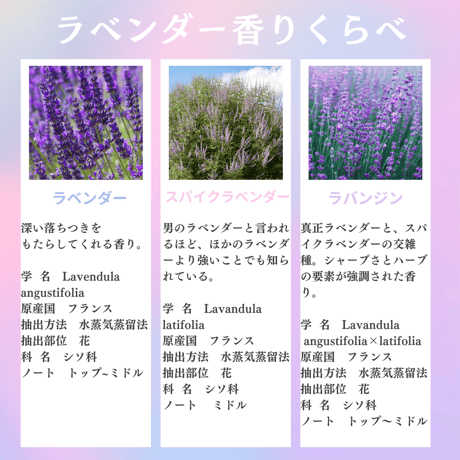 くらべる精油　ラベンダー3種　エッセンシャルオイル