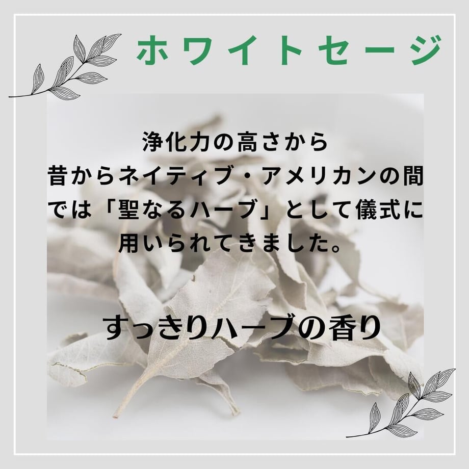 647186d11b359a00351d0f23