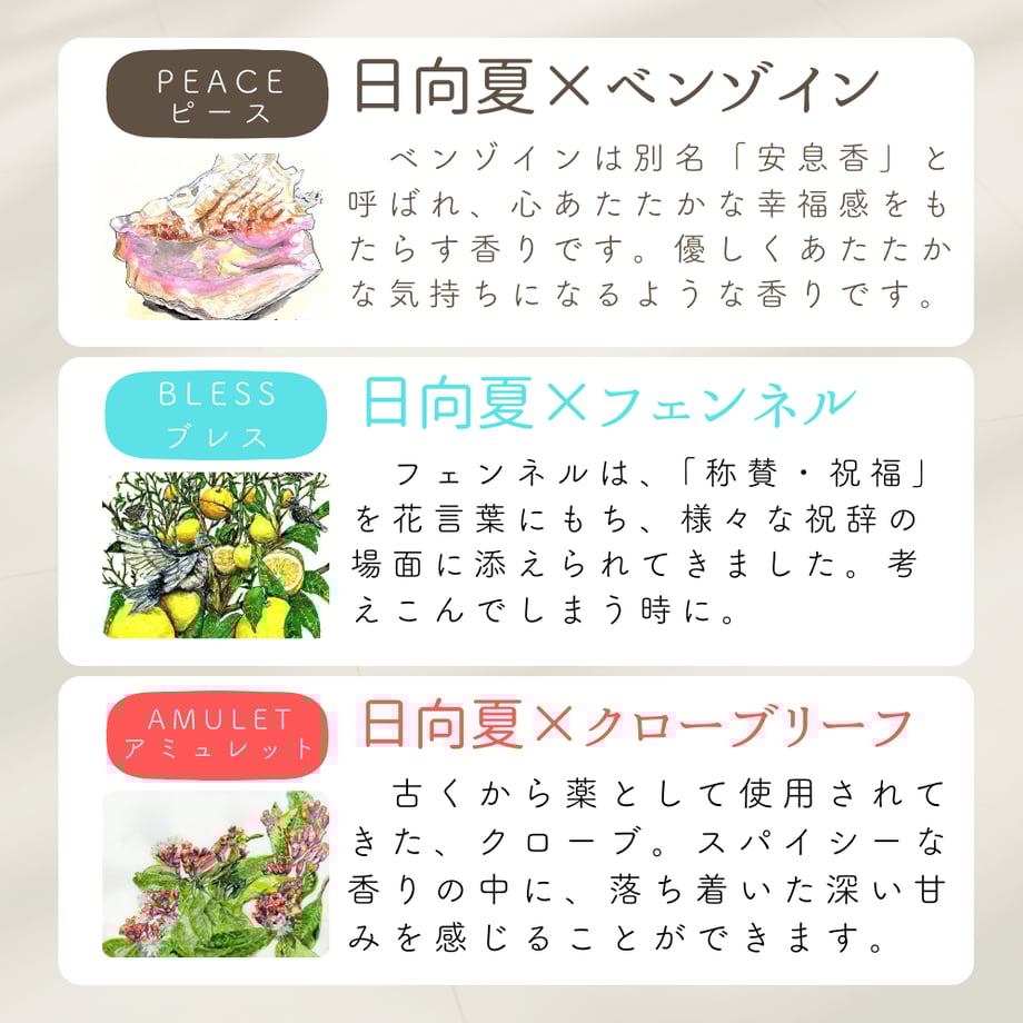 5fe82f0ada019c1084b17722