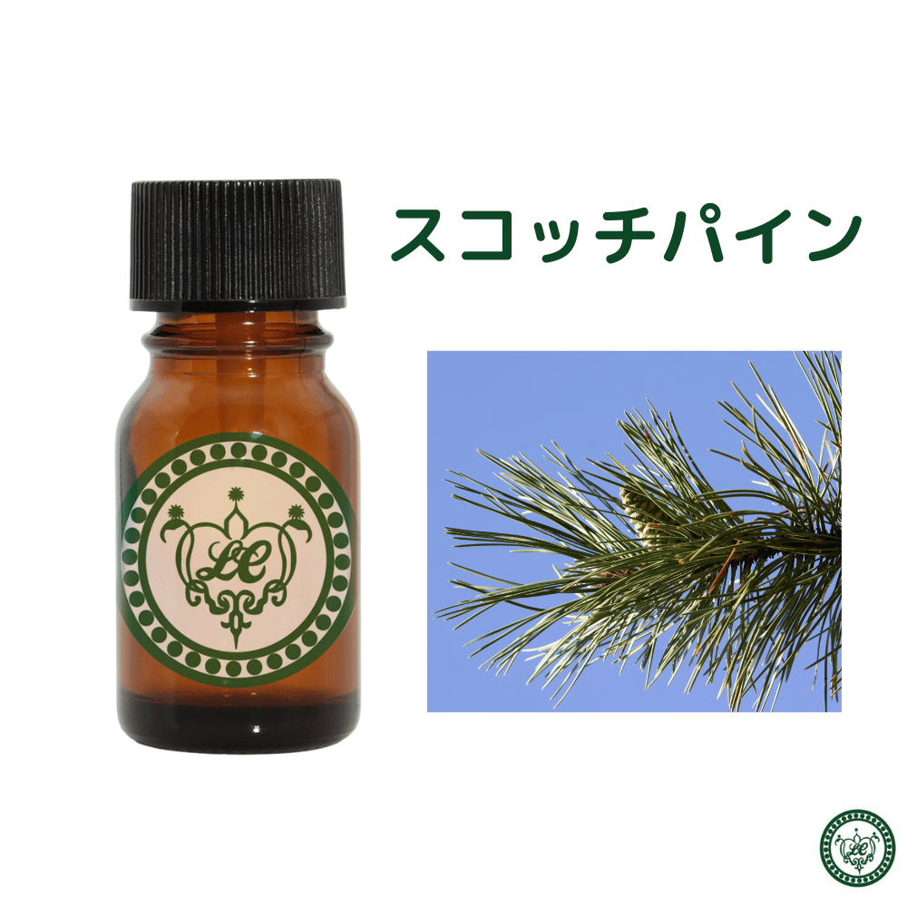 スコッチパイン （ヨーロッパアカマツ） 精油 エッセンシャルオイル