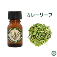 カレーリーフ　精油 エッセンシャルオイル　オーガニック