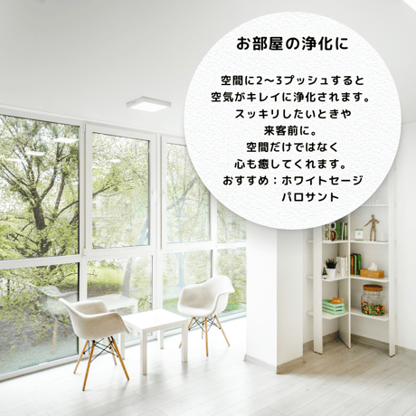 浄化スプレー 100ml