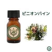 ピニオンパイン　精油 エッセンシャルオイル