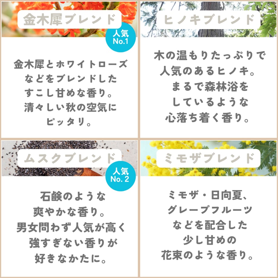 67f360967dd1ee5964b57e5b