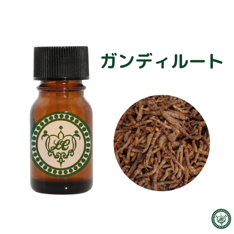 63ec51e27d65da29f7a393d4