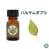 バルサムポプラ　精油 エッセンシャルオイル