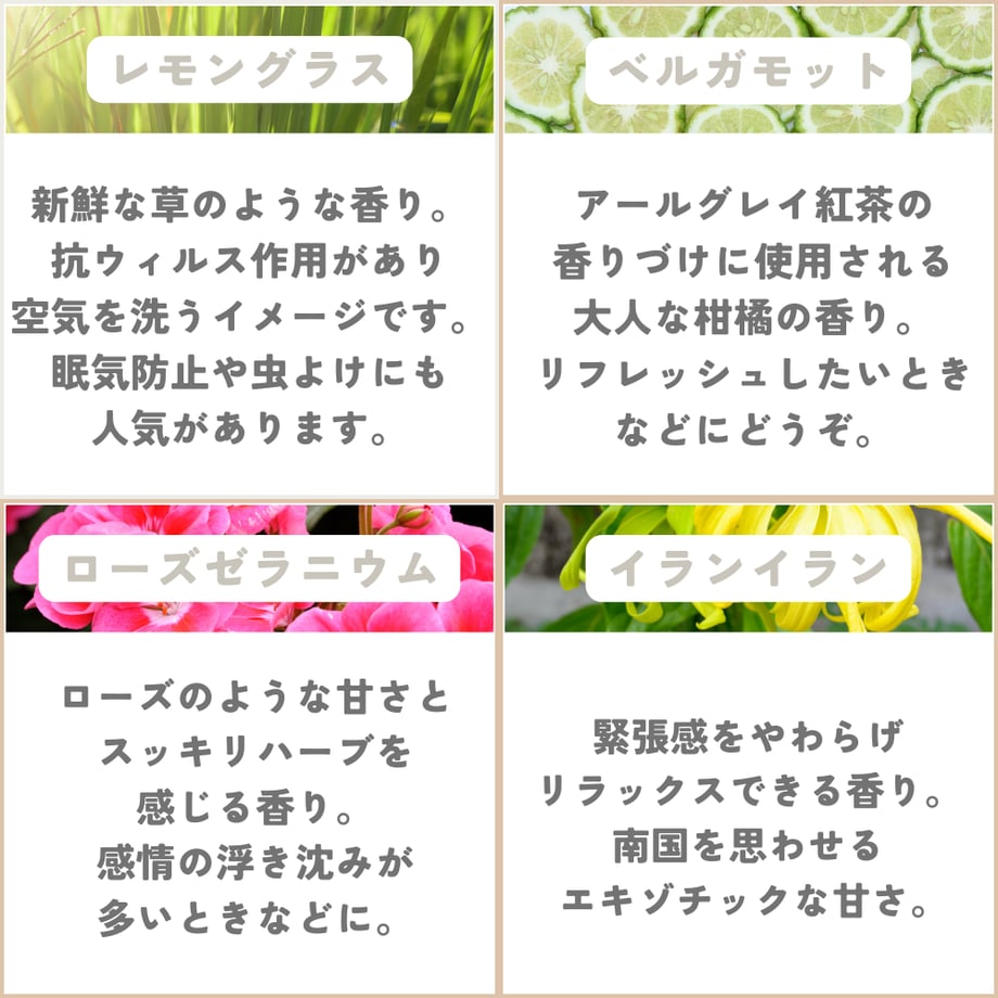 661c858127538300345506a8