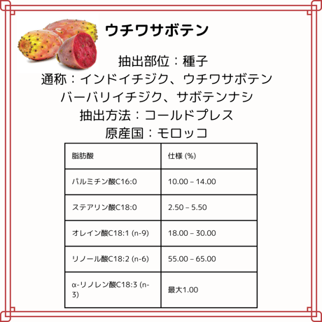 ウチワサボテンオイル・サボテンオイル　キャリアオイル　未精製