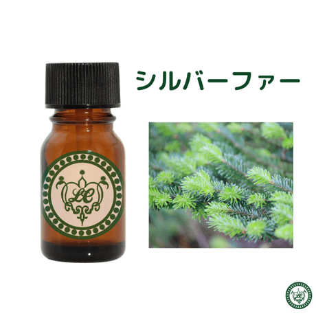 シルバーファー （ヨーロッパモミ）　精油 エッセンシャルオイル