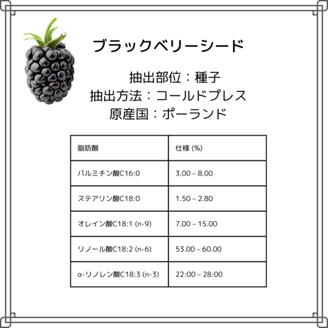 ブラックベリーシードオイル　キャリアオイル　未精製