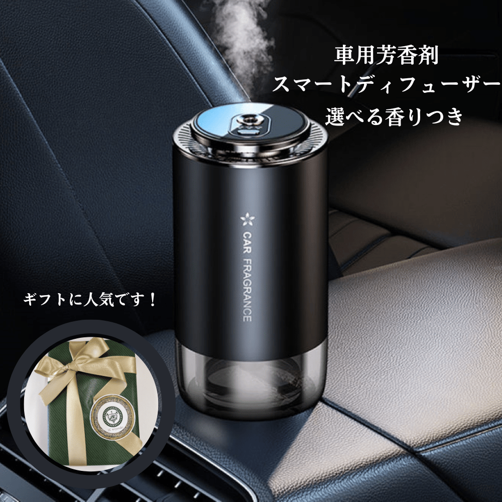 HERMES】エルメス エヴリンTPM 16 アマゾン ブラック×シルバー金具  