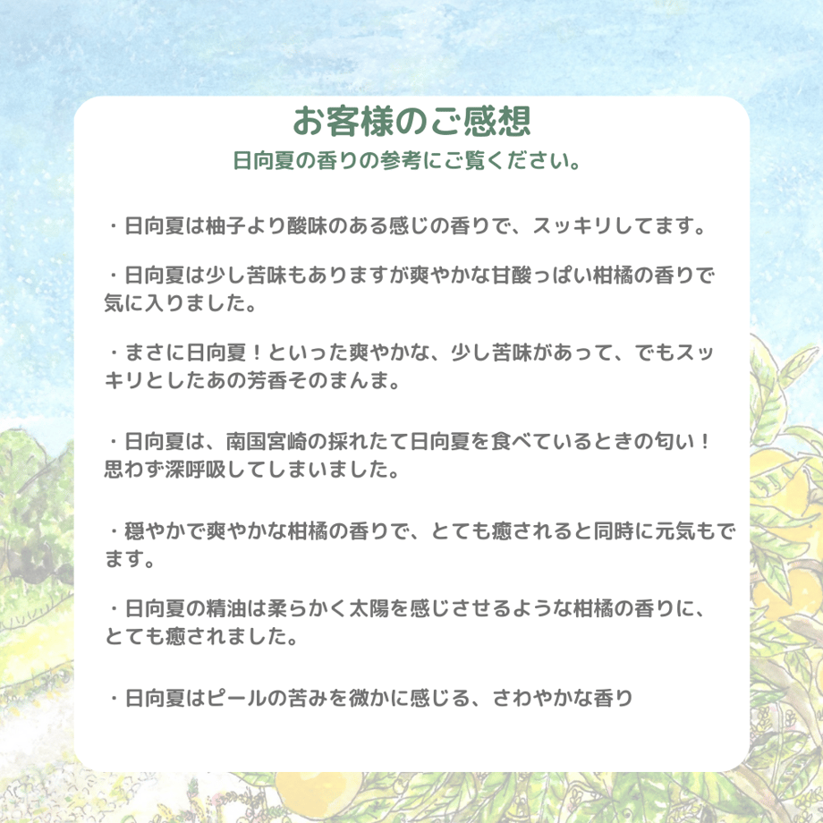 65f27729e533d0002b8223b3