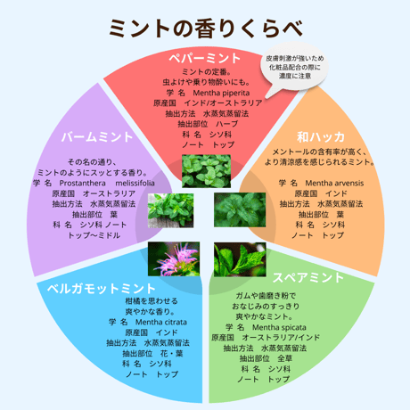 くらべる精油　ミント5種　エッセンシャルオイル