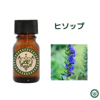 ヒソップ　精油 エッセンシャルオイル