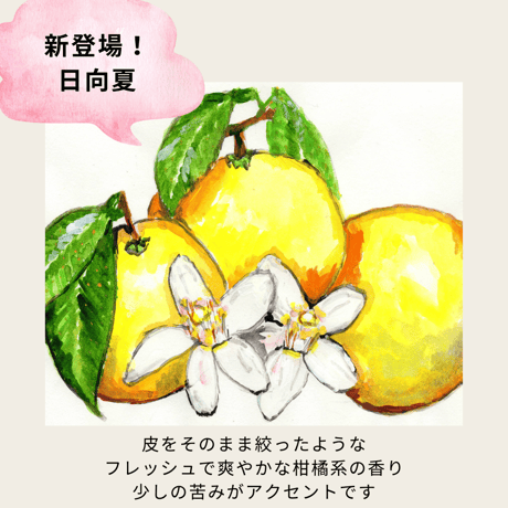 水溶性アロマオイル　【100ml】