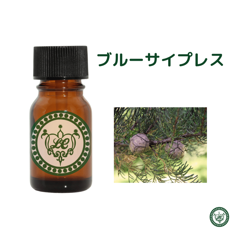 ブルーサイプレス 精油 エッセンシャルオイル | LC aroma STORE