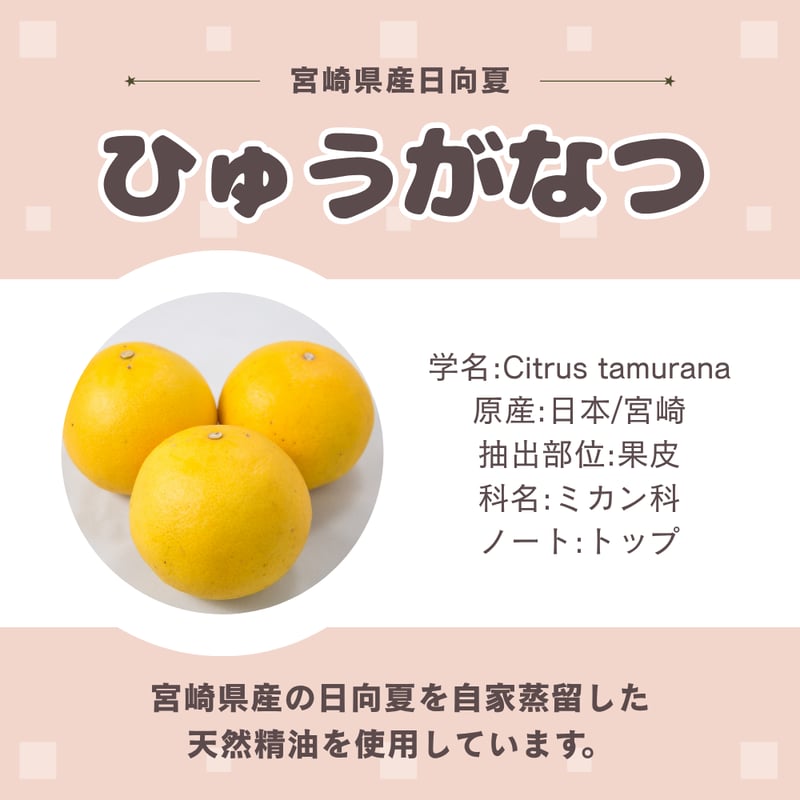 日向夏芳香剤 吊り下げタイプ | LC aroma STORE