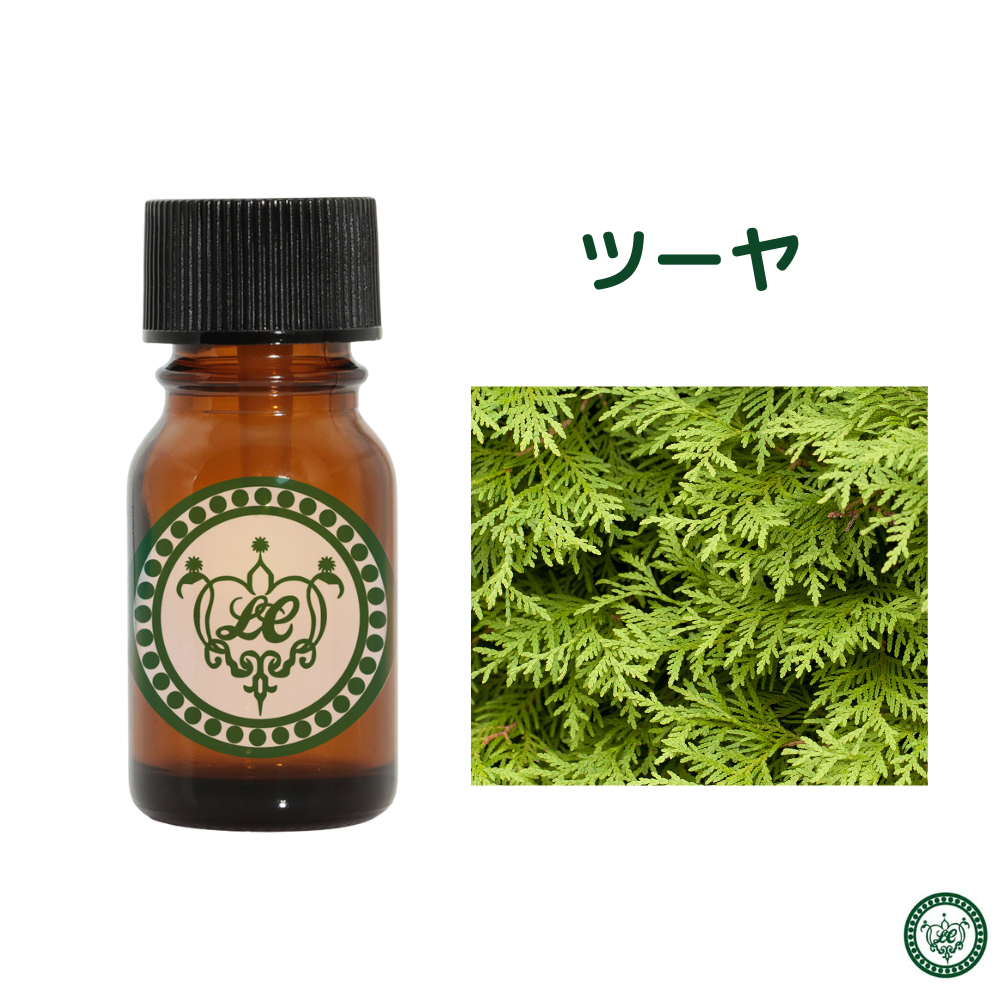 新品未使用 サイプレス オーストラリアヒノキ30ml天然精油エッセンシャルオイル 新品未使用 サイプレス オーストラリアヒノキ30ml天然精油