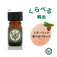 くらべる精油 オレンジ6種 エッセンシャルオイル | LC aroma STORE