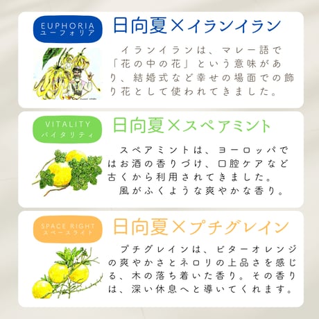 LCオリジナルブレンド精油5ｍｌ