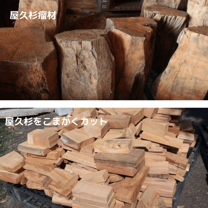 屋久杉 精油 エッセンシャルオイル 屋久島産 | LC aroma STORE