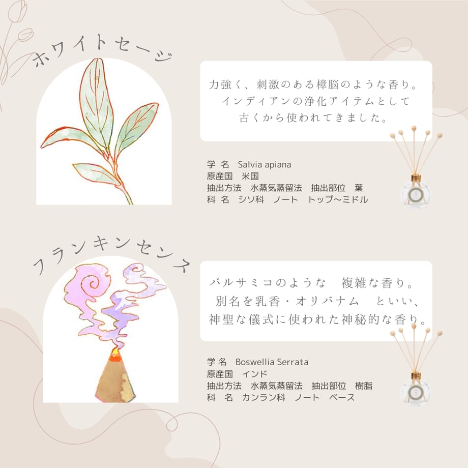 62ae934539da5f06f22b81ed