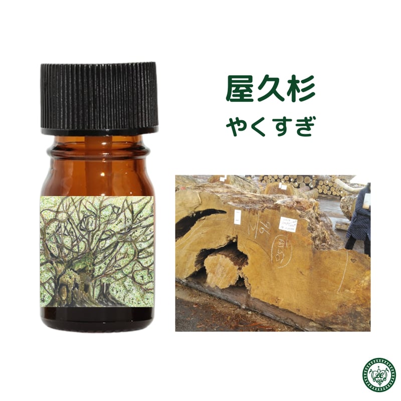 エッセンシャルオイル 屋久杉 精油 エッセンシャルオイル 屋久島産 | LC aroma STORE