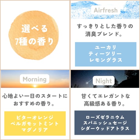 【アルコールタイプ】リードディフューザー100ml