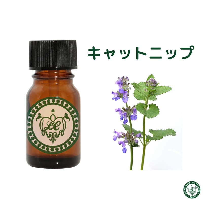 キャットニップ （西洋またたび） 精油 エッセンシャルオイル | LC