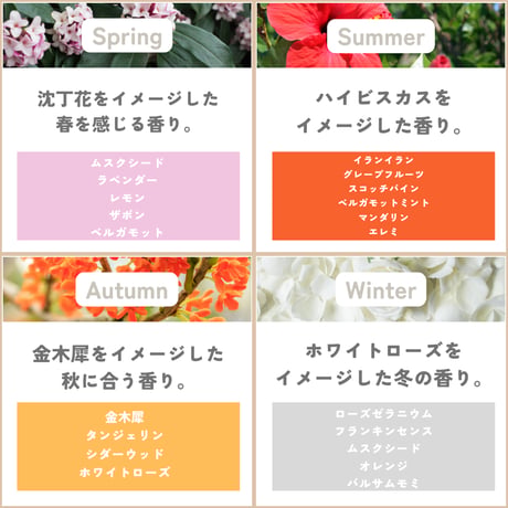 【アルコールタイプ】リードディフューザー100ml