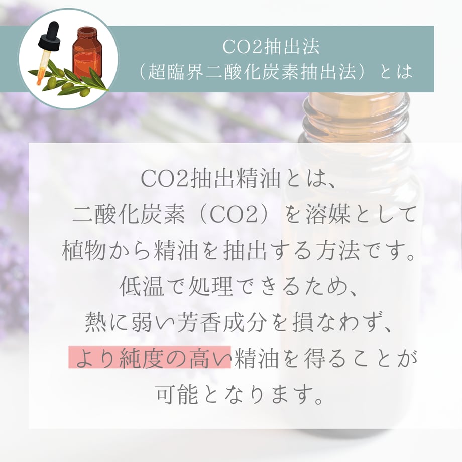 68182ccb3ee3fd11b6965fbb
