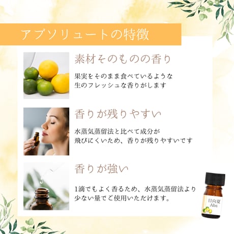 日向夏 Abs　アブソリュート　和精油