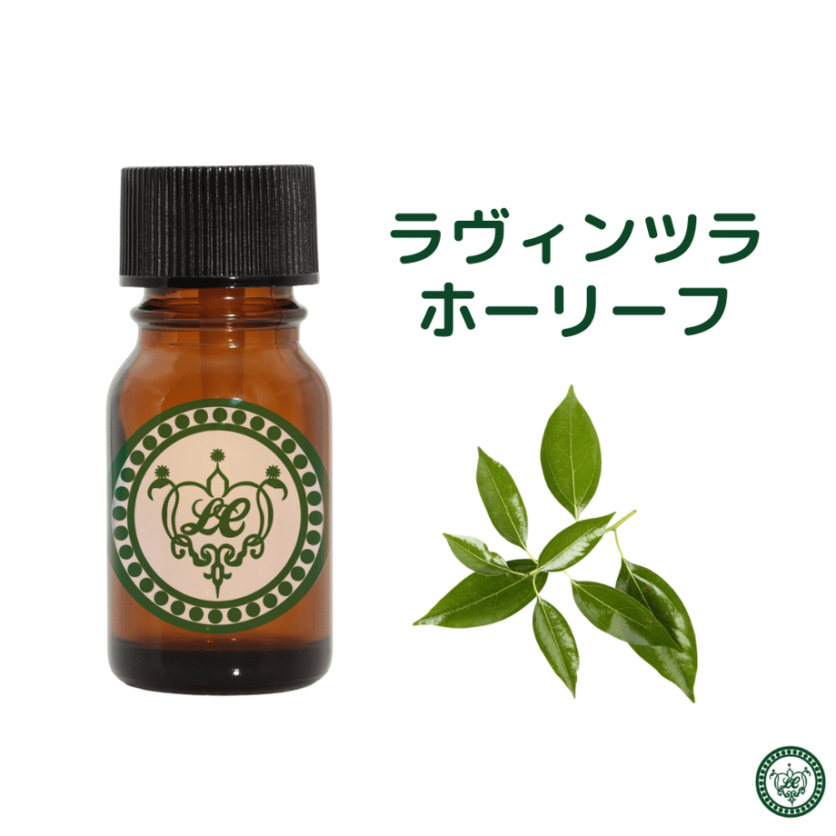 63e5cc29db33f60200b60486