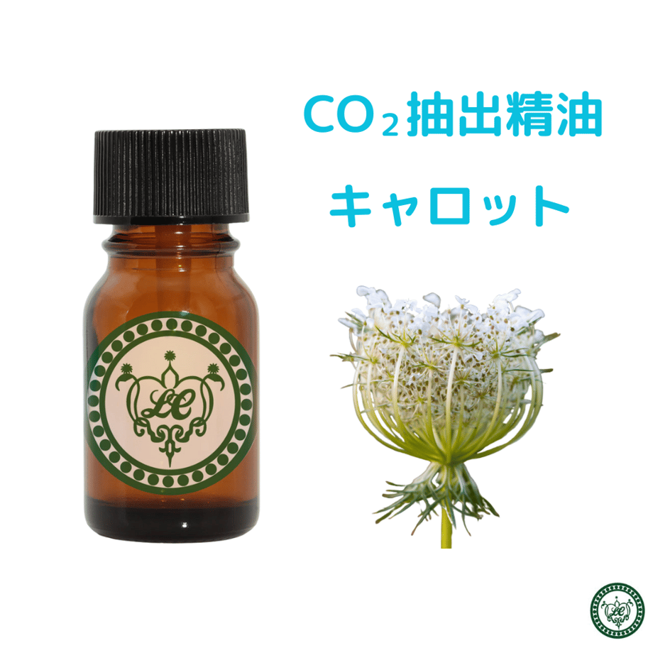 684a481a275383201cec99d3
