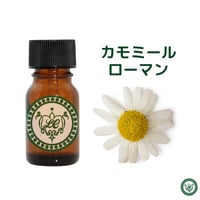 カモミール ローマン　精油 エッセンシャルオイル　オーガニック