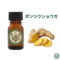 サンダルウッドハワイアン 精油 エッセンシャルオイル | LC aroma STORE